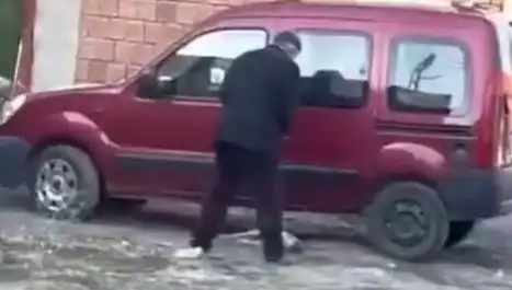 Sokak Ortasında Köpeğe Düzenlenen Şiddet Olayı: Hayvan Hakları İçin Yeni Bir Mücadele Mi?