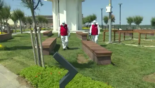 Kene Tehlikesi Arttı: Halka Açık Alanlarda Yeni İlaçlama Önlemleri!