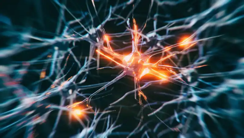 Alzheimer Vakalarında Artış: Nedenleri ve Gelecek Görünümü