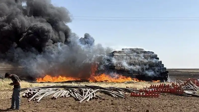 Mardin'de Korkutan Anız Yangını: Tarım Arazilerini Tehdit Ediyor