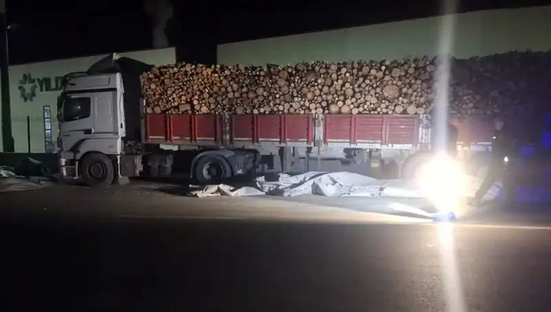 TIR Sürücüsüne Feci Kaza: Brandayı Toplarken Otomobil Çarptı