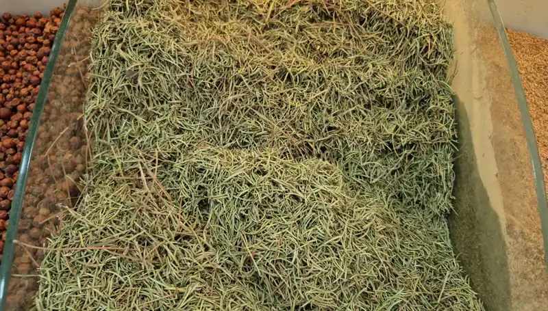 Yaz Ayları Geldiğinde İnternette Satışlar Nasıl Patlıyor?