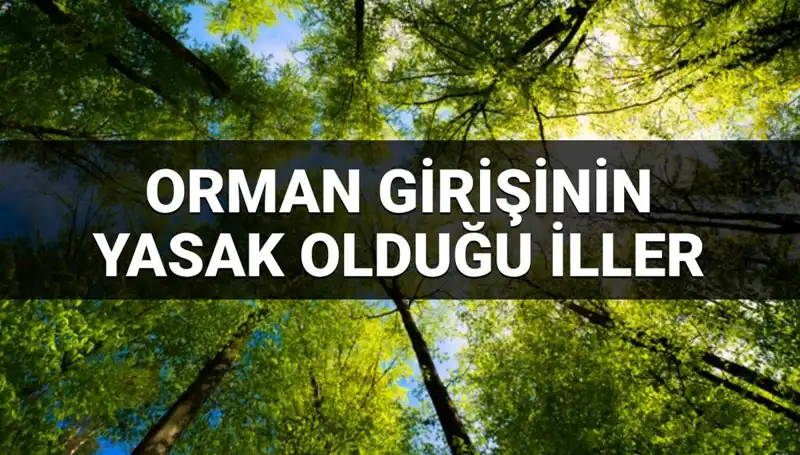 2025 Yılında Ormana Girişi Yasaklanan İller Listesi Açıklandı!