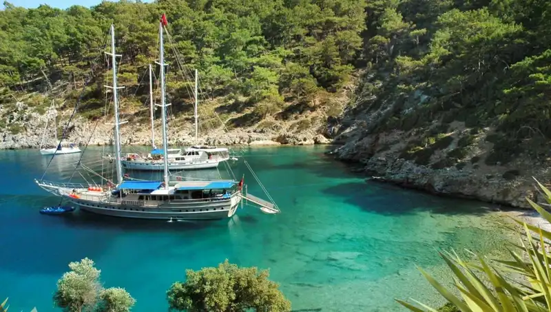 Türkiye'nin Tatil Arayışında Yükselişi: Google'da En Çok Aranan Destinasyonlar