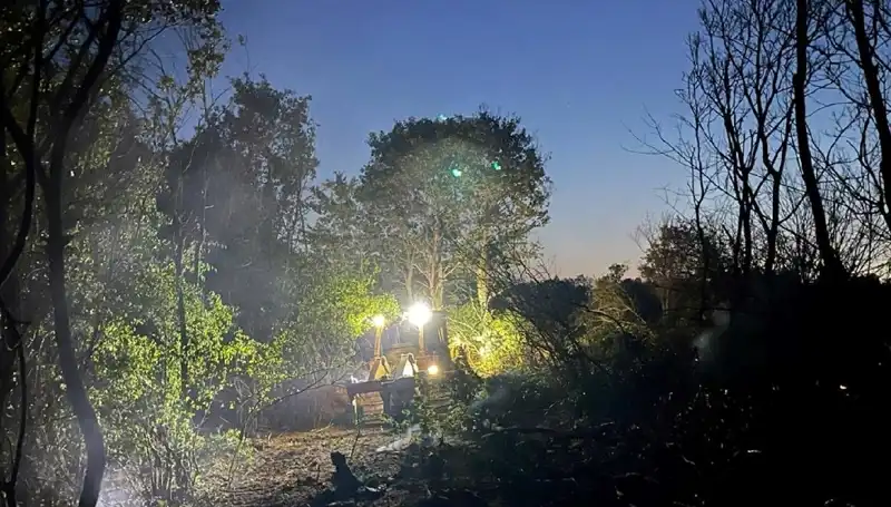 Edirne Orman Yangını Kontrol Altına Alındı: Son Durum ve Etkileri