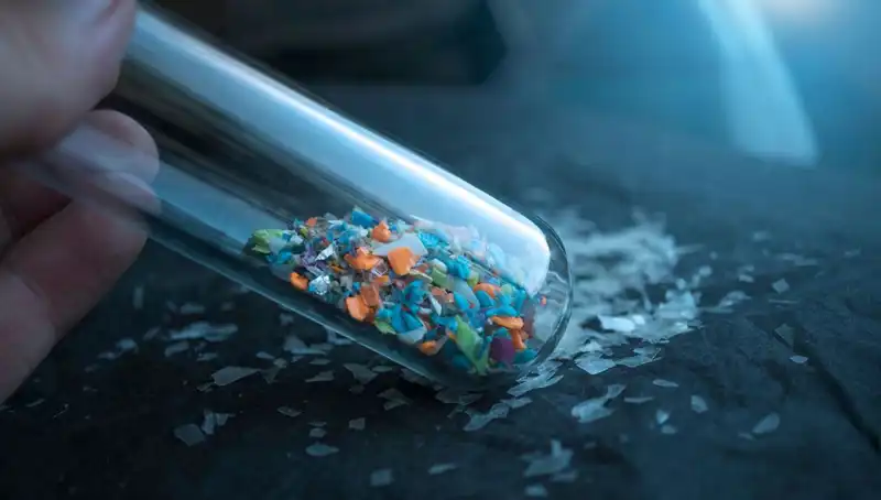 Mikroplastikler Beynimize Ulaşıyor: Sağlığımızı Tehdit Eden Çözülmemiş Bir Sorun