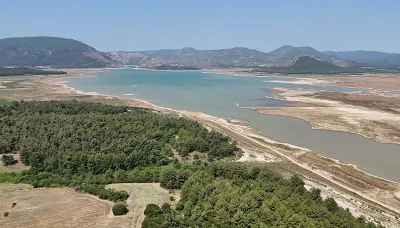 İzmir'de Ekonomik Durum Alarm Veriyor: Yüzde 50 Düşüş Tespit Edildi
