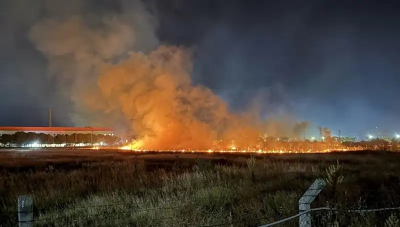 İzmir'de Gece Yarısı Korkutan Yangın: Paniğin Kaynağı Nedir?