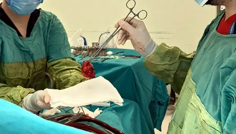 Kalp Kapağı Çürümüş Hastaya 7 Saatlik Zorlu Ameliyat: Uzmanlardan Mucizevi Başarı
